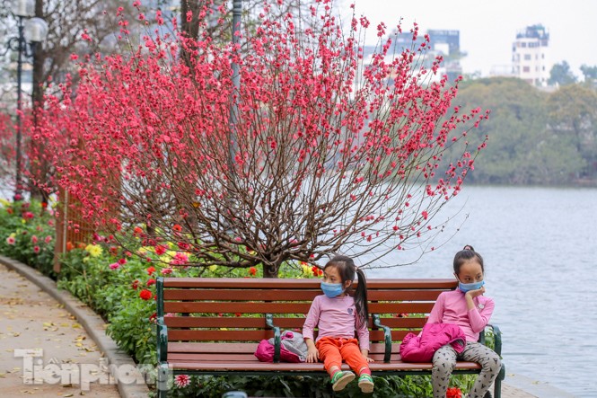 Đào bung sắc bên những thảm hoa rực rỡ quanh hồ Hoàn Kiếm ngày cận Tết - ảnh 7