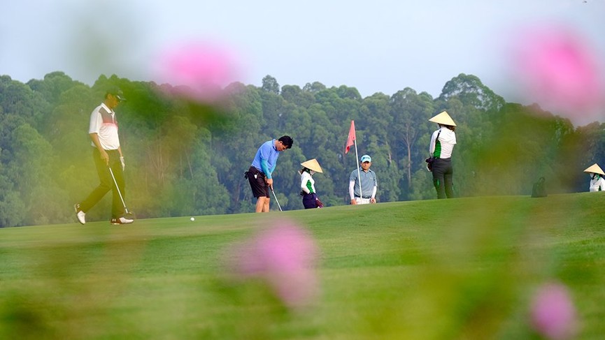 Sân Kings Course được làm mới, đón Tiền Phong Golf Championship 2020 - ảnh 9