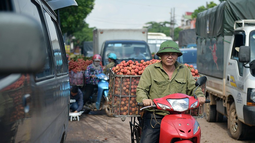 Chôn chân dưới trời nắng tại thủ phủ vải thiều Bắc Giang - ảnh 8
