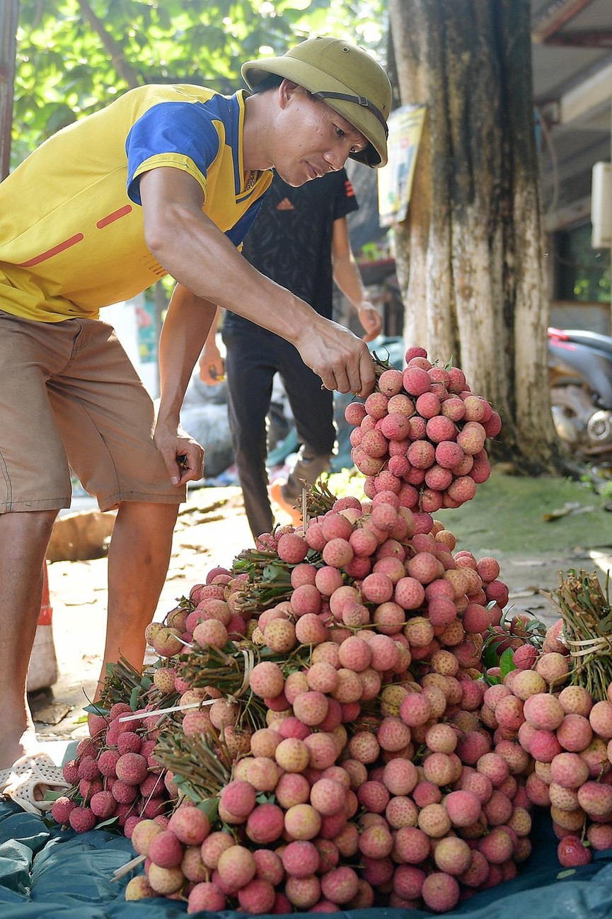 Chôn chân dưới trời nắng tại thủ phủ vải thiều Bắc Giang - ảnh 11