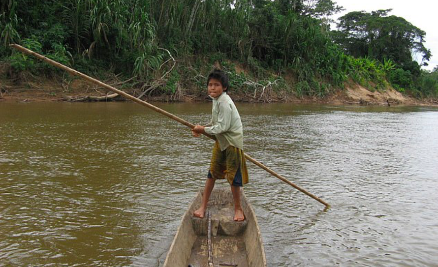 Người Tsimane dành cả ngày để đi săn, đánh bắt cá và hái lượm. (Ảnh: Daily Mail) 