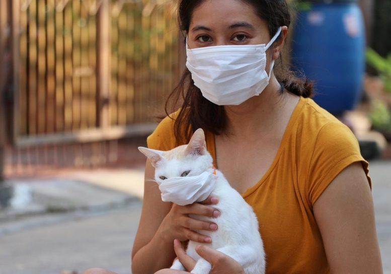 Các nhà khoa học đã tìm ra bằng chứng cho thấy, con người đã truyền SARS-CoV-2 sang mèo và làm mèo mắc COVID-19.