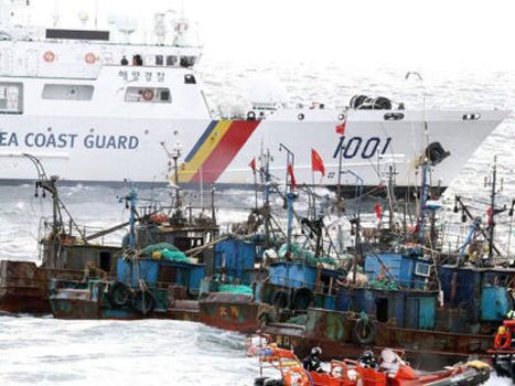 Hàn Quốc bắt 21 tàu cá Trung Quốc đánh bắt trái phép