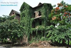 Hà Nội có hơn 1.700 biệt thự, nhà liền kế “bỏ hoang”