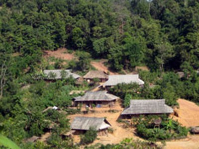 Hỗ trợ giảm nghèo huyện Mường Nhé - Điện Biên