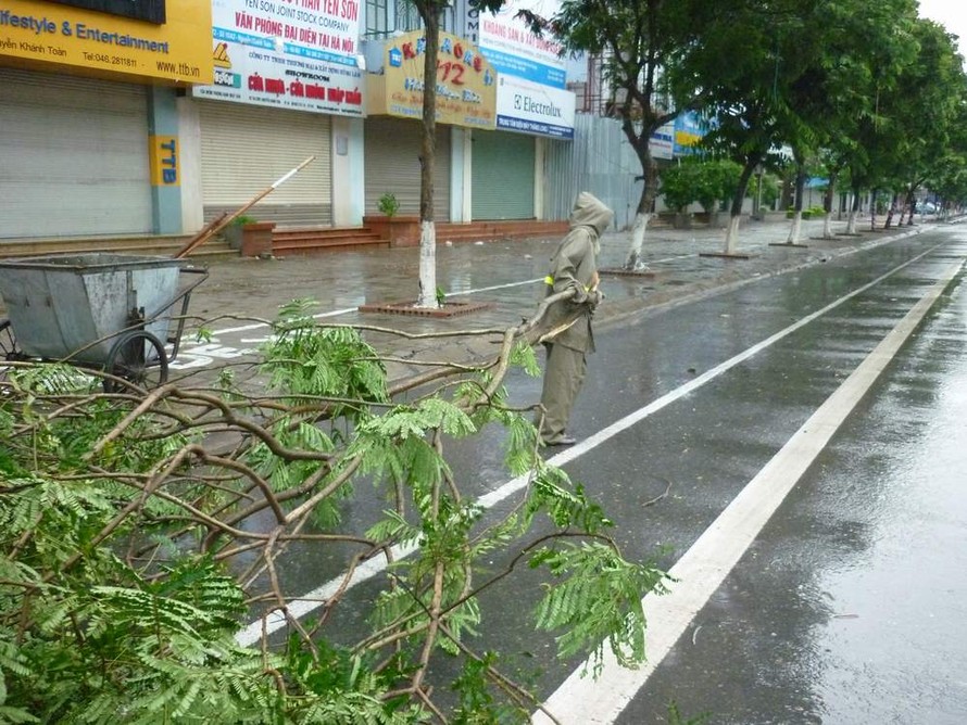 Hà Nội : Hàng loạt cây xanh bị đổ