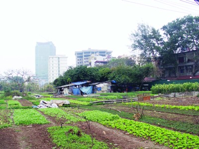 Việc chuyển đổi đất nông nghiệp xen kẹt trong dân cư thành đất ở tại Hà Nội vẫn được coi là lĩnh vực dễ phát sinh tiêu cực - Ảnh chụp tại quận Đống Đa Ảnh: N.Q