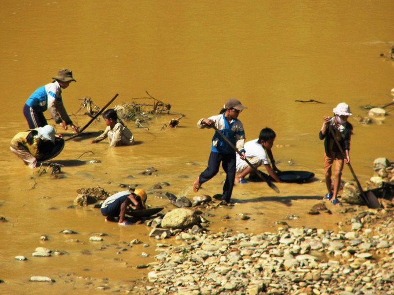 Những đứa trẻ đang hì hục đào đãi bên dòng sông Vàng (xã Tư, Đông Giang, Quảng Nam). Ảnh: Nguyễn Huy