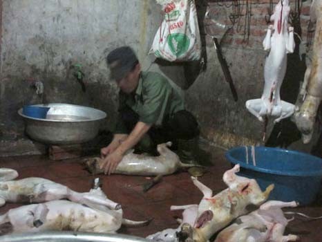 Chuyện khó tin ở làng giết chó lớn nhất Việt Nam
