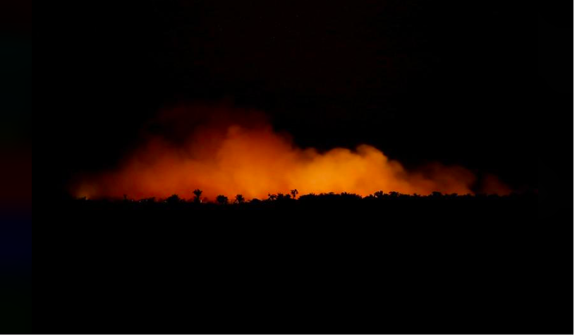 Nhiều vụ cháy rừng Amazon là do nông dân cố tình đốt để lấy đất. (Ảnh: Reuters)