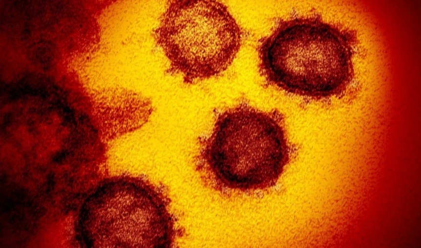 Trung Quốc đã tìm thấy những người nhiễm biến chủng virus corona mới. (Ảnh: EPA)