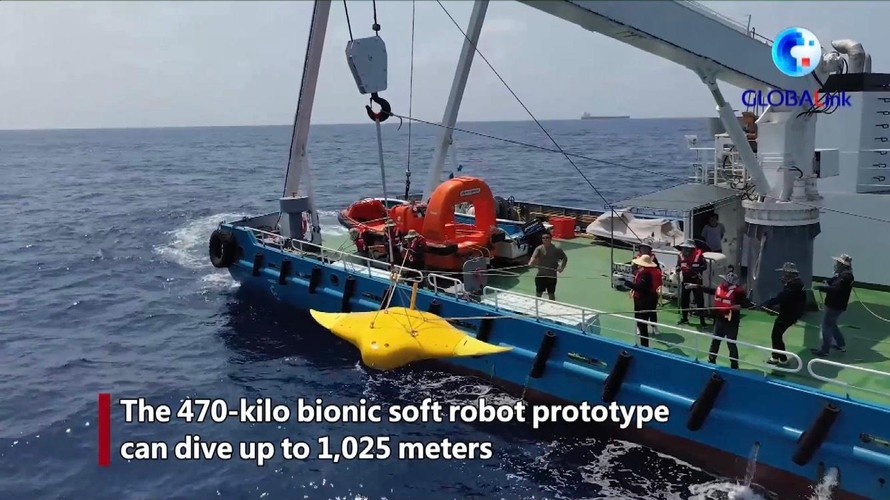 Robot hình dạng cá đuối được thử nghiệm ở quần đảo Hoàng Sa của Việt Nam
