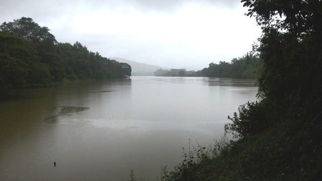 Mực nước sông Hương gần đập Tả Trạch được điều tiết ở mức an toàn vào sáng 5/11. Ảnh: Ngọc Văn.