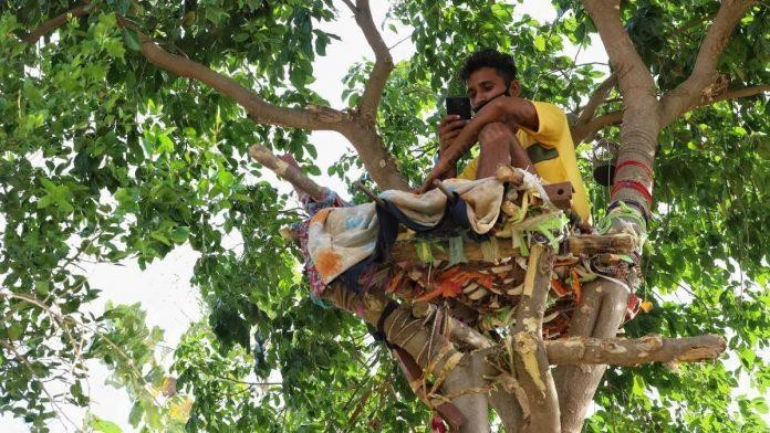 Chàng sinh viên Ấn Độ dương tính với COVID-19 tự “cách ly” một mình trên ngọn cây 12 ngày