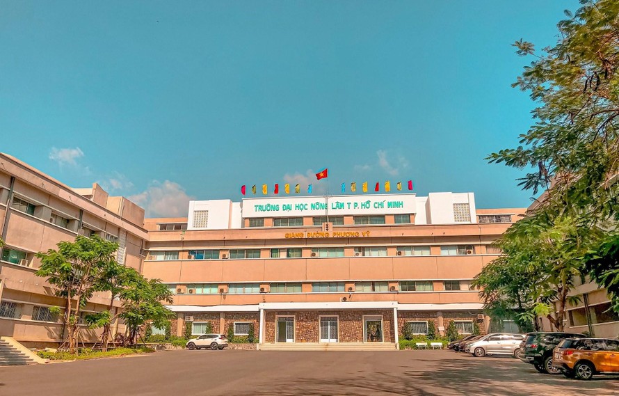 Trường ĐH Nông Lâm TP. HCM mở ngành Giáo dục Mầm non