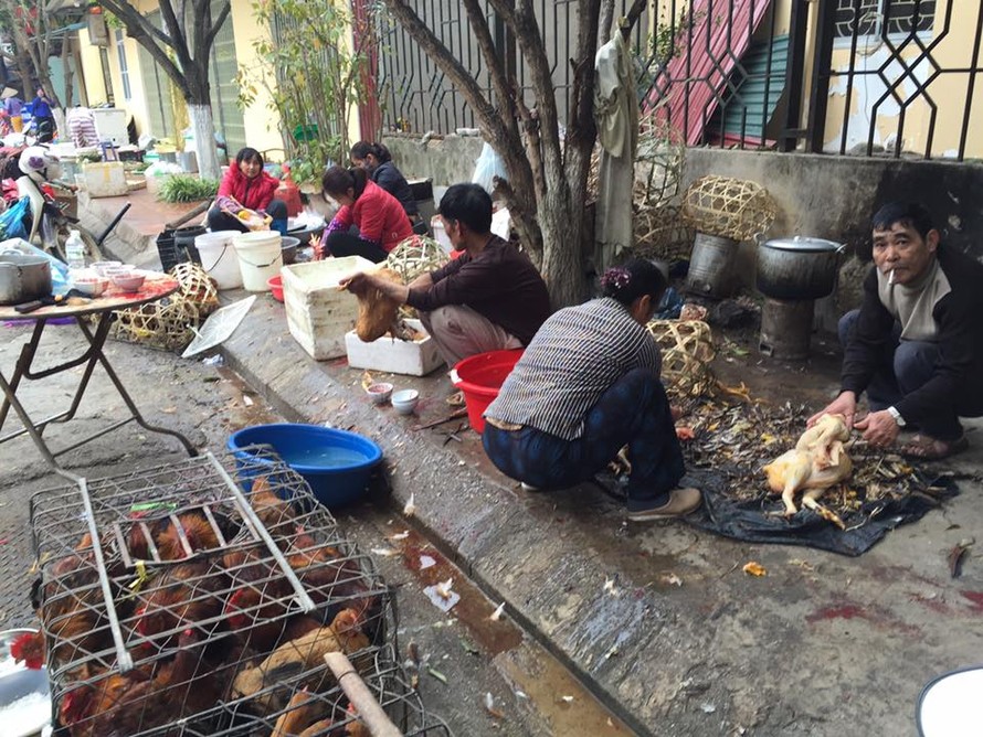 Nhộn nhịp dịch vụ nhổ lông gà thuê ở chợ Chi Lăng *ảnh: Duy Chiến