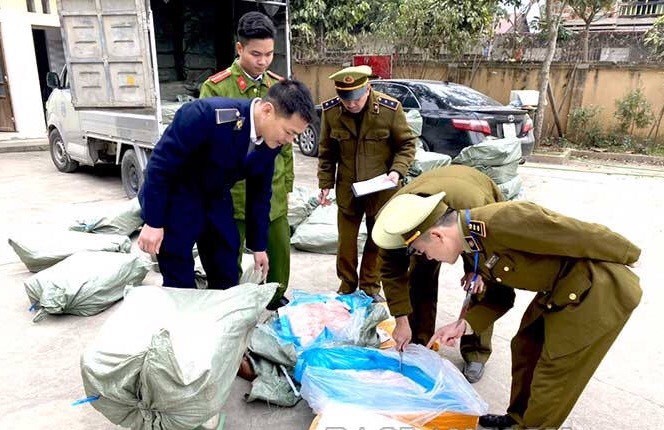 Các lực lượng chức năng huyện Chi Lăng (Lạng Sơn) kiểm đếm số nầm lợn nhập lậu .Ảnh: H. Cường 