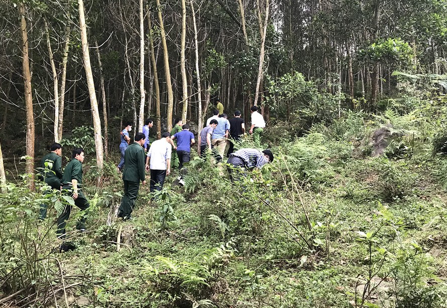 Lực lượng làm nhiệm vụ tại khu rừng ở xã Nậm Giải. Ảnh: Công an cung cấp/VnExpress