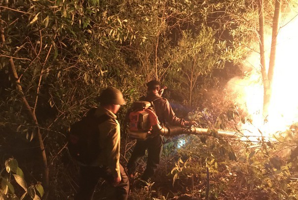 Rừng ở Nghệ An phát hỏa, hàng trăm người dập lửa trong đêm