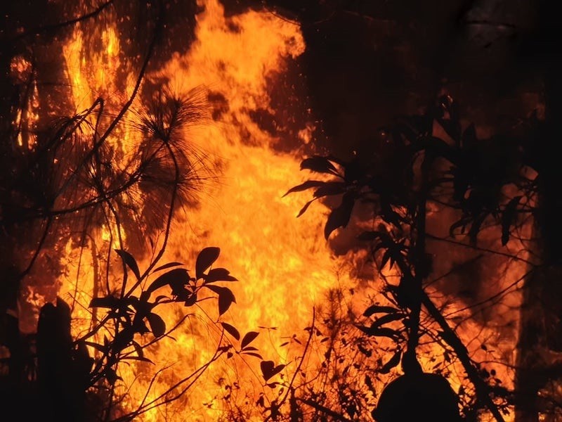 Hàng nghìn người trắng đêm dập lửa cứu rừng Nghệ An, Hà Tĩnh