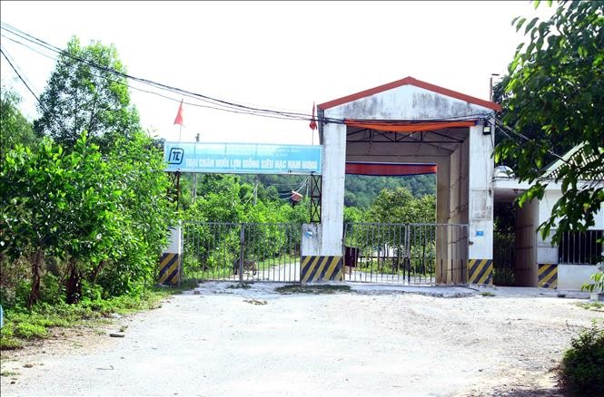 UBND tỉnh Nghệ An chỉ đạo xử lý ô nhiễm tại trại lợn Công ty Đại Thành Lộc