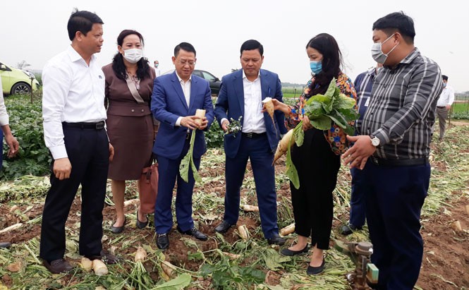 Sở Công thương kiểm tra tình hình tiêu thụ nông sản tại huyện Mê Linh