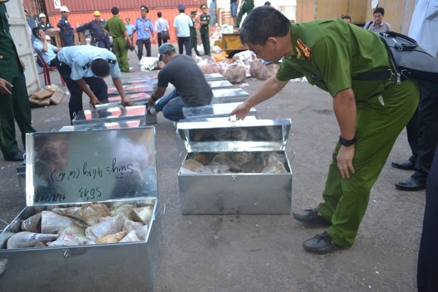 Vụ bắt giữ 8 tấn ngà voi cập cảng Tiên Sa (Đà Nẵng) tháng 8/2015 gây chấn động