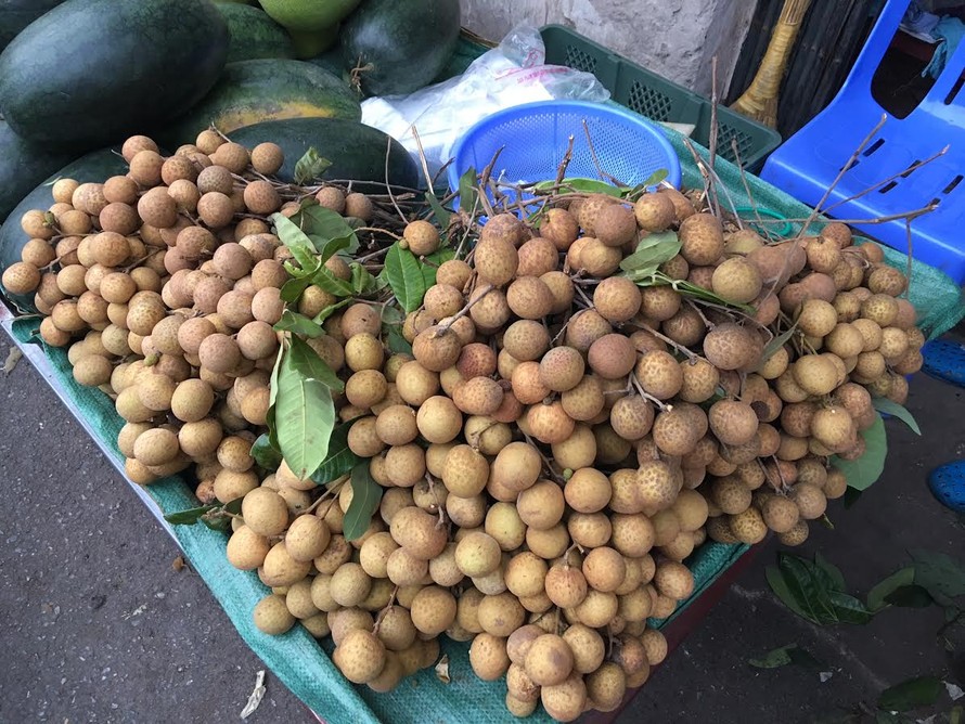 Loại nhãn quả to khủng, vỏ vàng sáng được bày bán la liệt tại chợ Hà Nội
