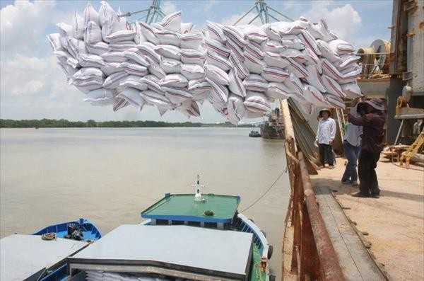 Từ 1/5, gạo được xuất khẩu trở lại bình thường, không chịu hạn ngạch. Ảnh minh họa, nguồn: Internet