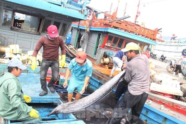 Bà Rịa-Vũng Tàu dừng hoạt động cảng cá, Quảng Nam tạm đóng cửa chợ Tam Kỳ