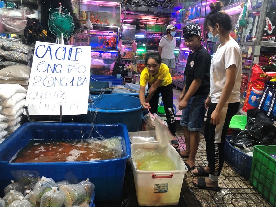 Người TPHCM tranh thủ mua cá chép trước ngày ông Công, ông Táo