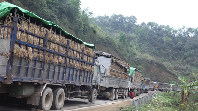 Cảnh ách tắc hàng nông sản những ngày qua ở tỉnh Lạng Sơn. Ảnh: Duy Chiến