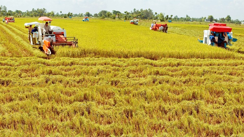  Vốn FDI đầu tư vào lĩnh vực nông nghiệp chỉ hơn 1% tổng đầu tư FDI vào Việt Nam. Ảnh: Sao Mai