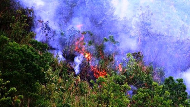 'Bà hỏa' thiêu rụi gần 20ha rừng sau gần 7 giờ