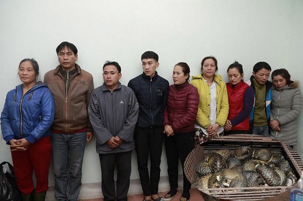 Các đối tượng bị bắt giữ trong vụ bắt giữ số lượng tê tê mới đây ở Hà Tĩnh, bà Hường đứng ngoài cùng bên phải