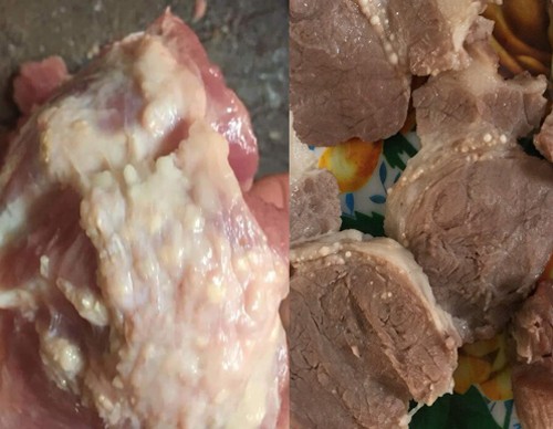 Thịt lợn nổi đầy hạch trắng được phát hiện trong bếp ăn trường Mầm non Thanh Khương. Ảnh: Phụ huynh cung cấp 