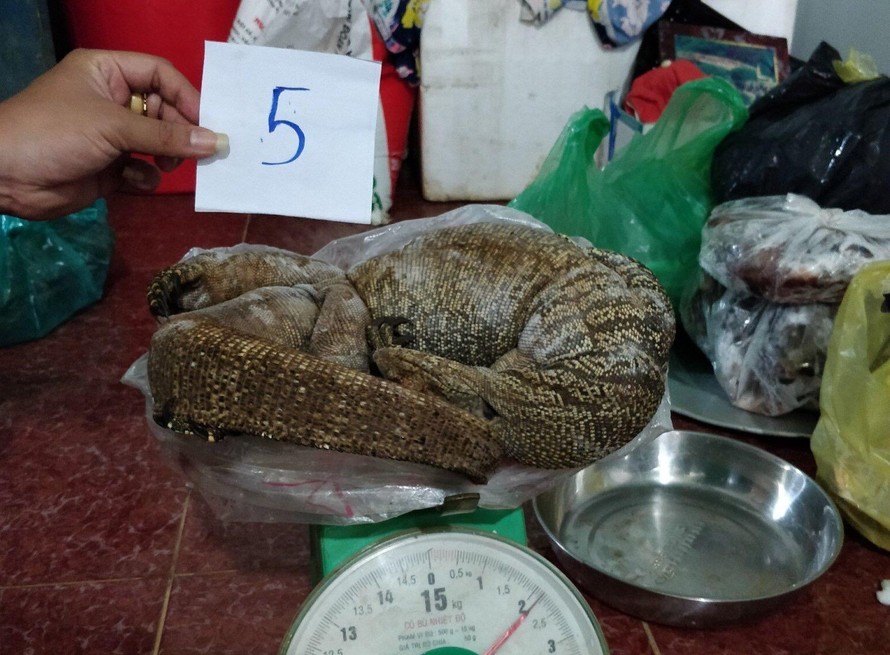 Công an huyện Đắk R'lấp bắt quả tang vụ buôn bán động vật quý hiếm