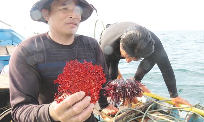 Hiện vật sau cú lặn biển là cây san hô đỏ bị chết.