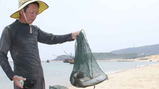 Người dân với những mẻ cá chết tại bãi biển gần nhà máy Formosa. Ảnh: Minh Thùy.