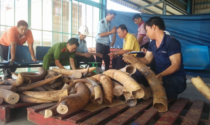 Trong 2 tháng, lực lượng chức năng phát hiện hơn 5 tấn ngà voi nhập lậu.