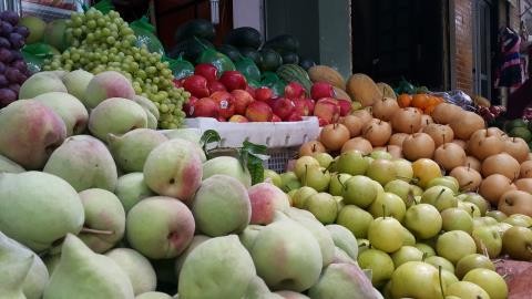 Cảnh báo việc Trung Quốc truy xuất nguồn gốc hoa quả xuất khẩu