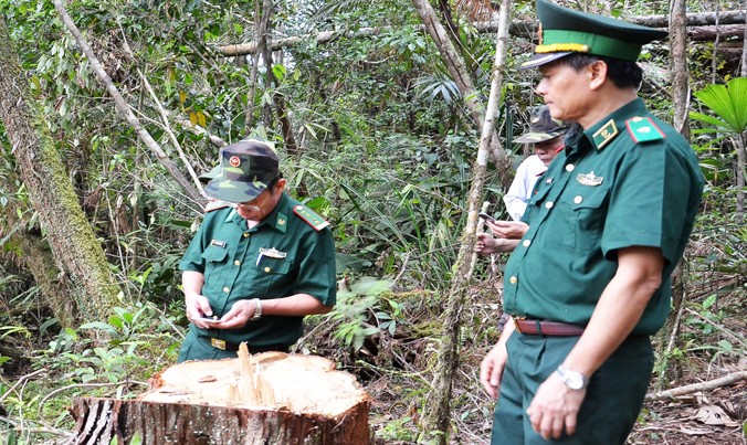 Thiếu tướng Nguyễn Văn Nam, Phó Tư lệnh, Tham mưu trưởng BĐBP kiểm tra hiện trường vụ phá rừng.