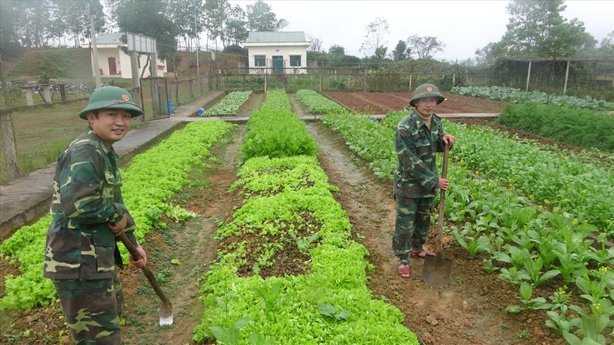 Mô hình trồng rau xanh đang được nhân rộng cho đồng bào Ra Mai. Ảnh: Văn Chương