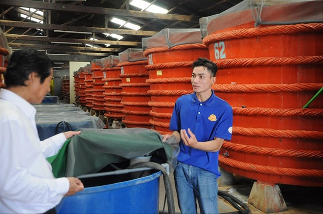 Nhân viên một cơ sở nhà thùng tại Phú Quốc (áo sẫm) cho biết về quy trình sản xuất nước mắm. Ảnh: CK