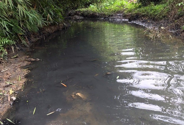 Truy tìm thủ phạm đổ trộm dầu thải gây ra sự cố nước sạch sông Đà 