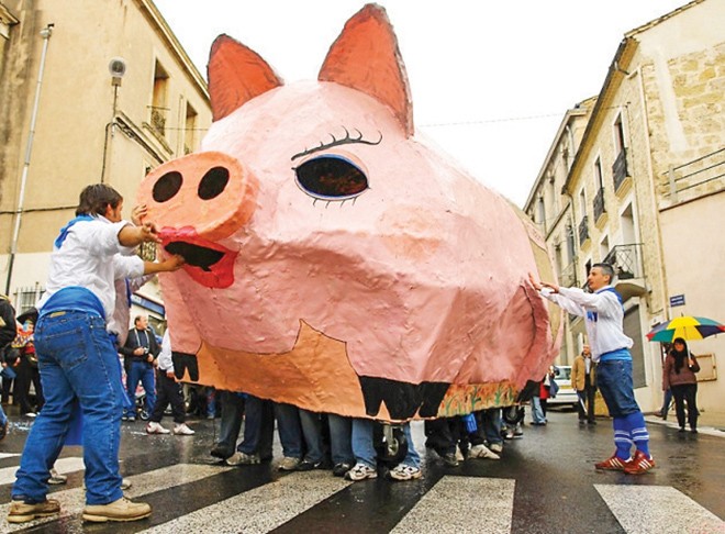 Lễ rước lợn Hồng ở Poussan Pháp 
