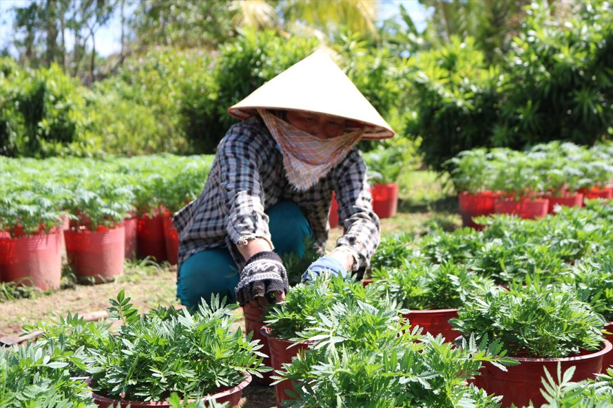 Bà Nguyễn Hoàng Yến đang chăm sóc hoa ẢNH: KIM HÀ