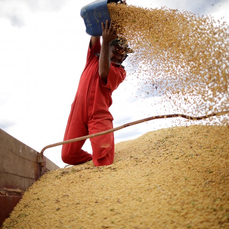 Các nhà quan sát nói Trung Quốc sẽ giảm thuế đối với đậu tương nhập khẩu để giữ cam kết mua nông sản Mỹ Ảnh: SCMP