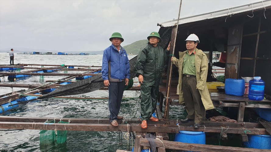 Lực lượng chức năng tỉnh Khánh Hoà xuống tận lồng bè nuôi hải sản vận động người dân lên bờ tránh bão Ảnh: Công Hoan 