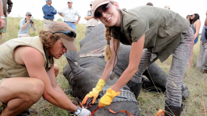 Tiến sĩ Lorinda Hern - đồng sáng lập Dự án Giải cứu Tê giác đang truyền độc vào sừng tê ở Nam Phi. Ảnh: RRP